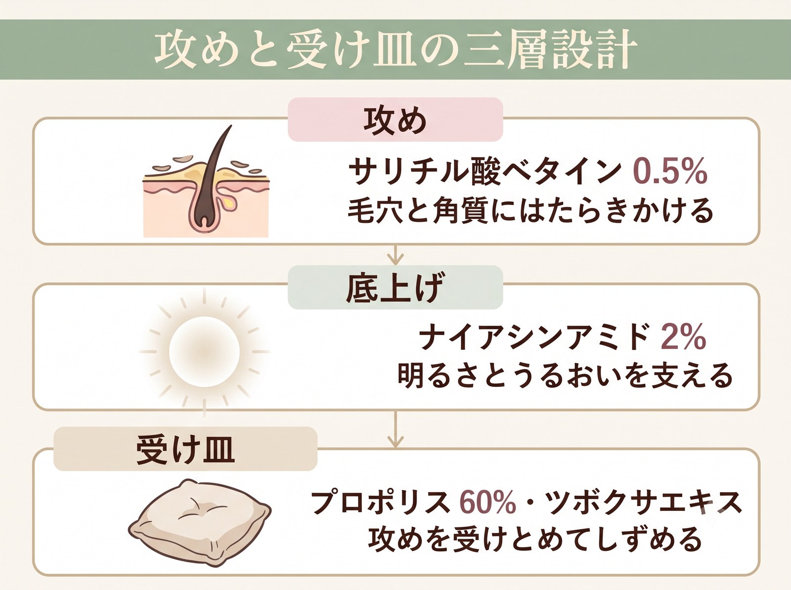 BHAの攻め、ナイアシンアミドの底上げ、プロポリスとCICAの受け皿という三層の設計を示した層図