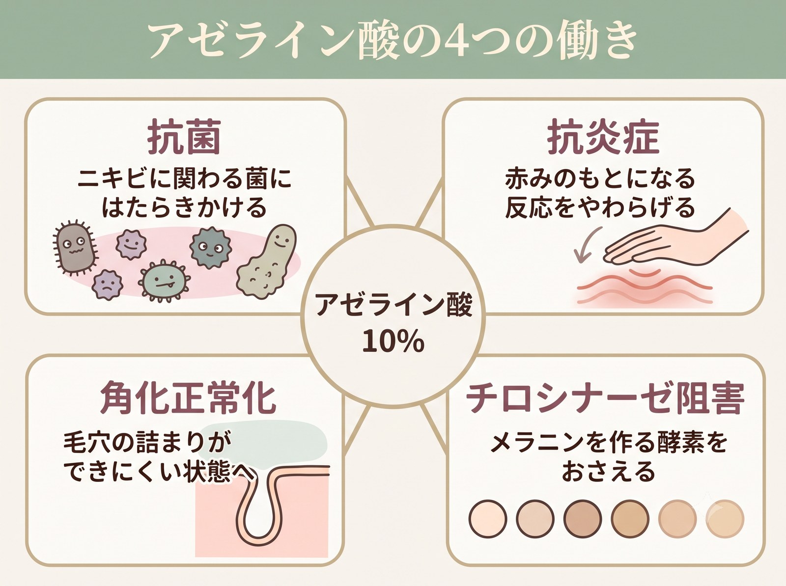 アゼライン酸の抗菌・抗炎症・角化正常化・チロシナーゼ阻害という4つの働きを示した相関図