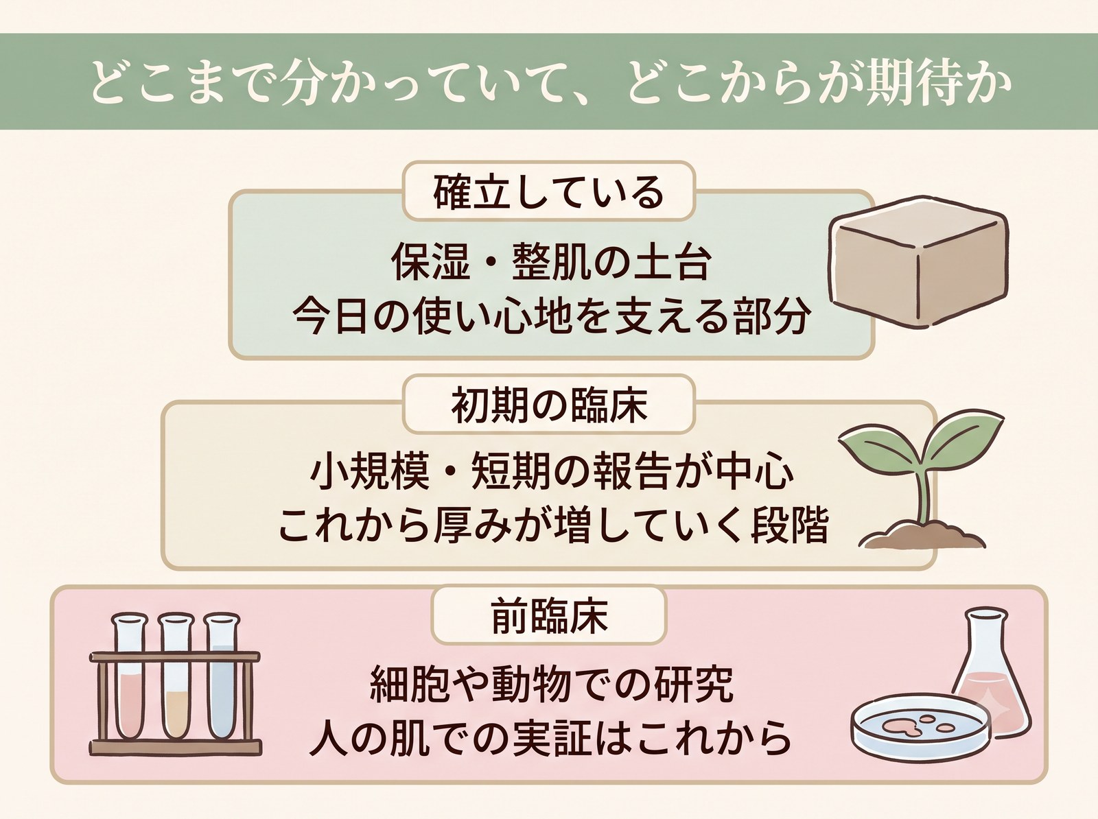 確立した知見・初期の臨床・前臨床という三段階でエビデンスの現状を整理した層図