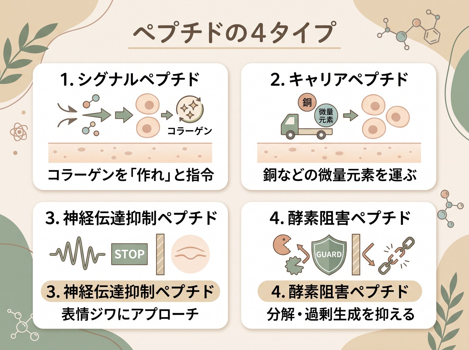 ペプチドを作用機序で4タイプに分けて見分けるアイコン図解(シグナル・キャリア・神経伝達抑制・酵素阻害)