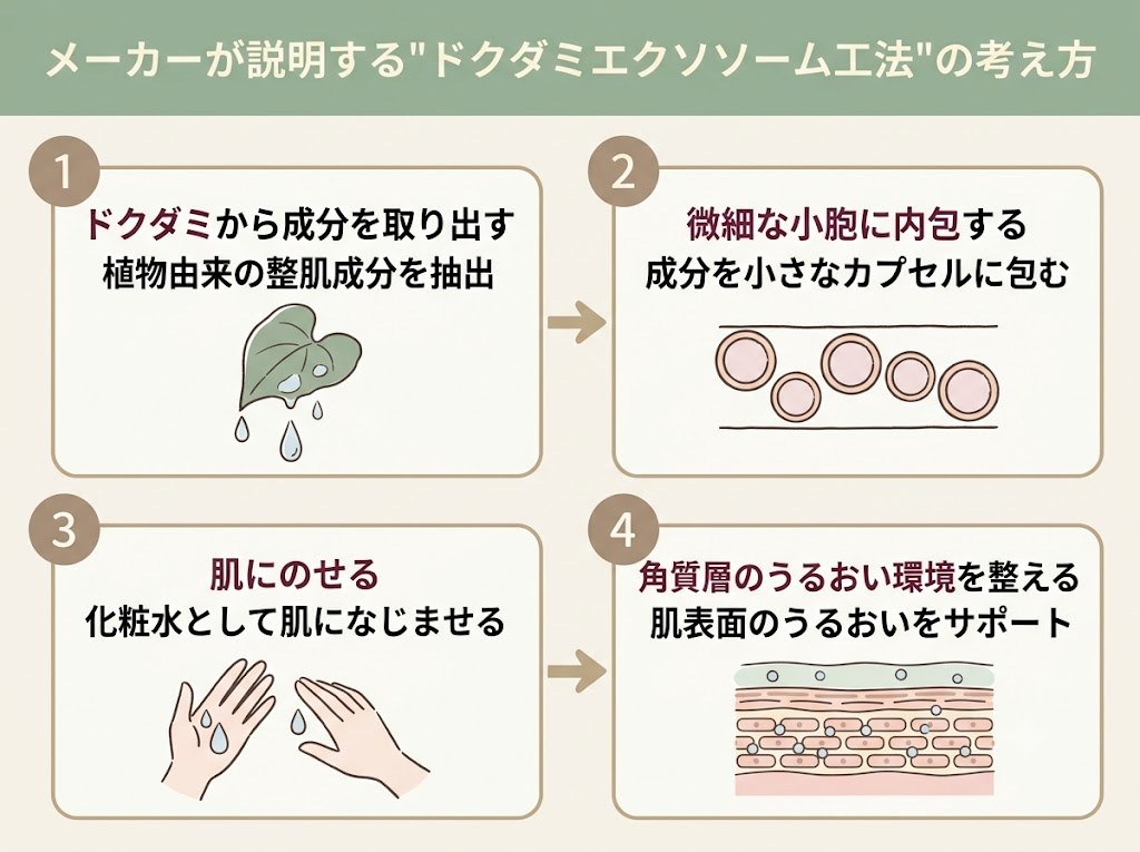 メーカーが説明する「ドクダミエクソソーム工法」の考え方を示す4ステップのフロー図
