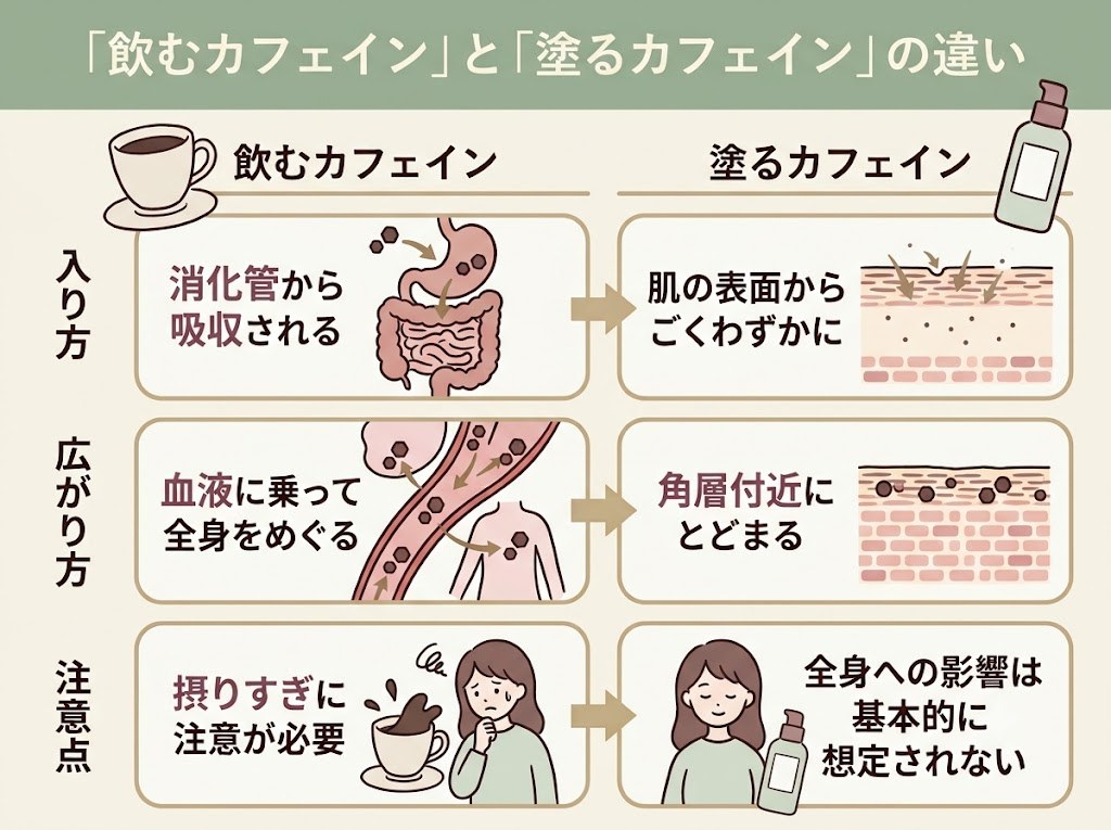 飲むカフェインと塗るカフェインの体への影響の違いを示した比較図