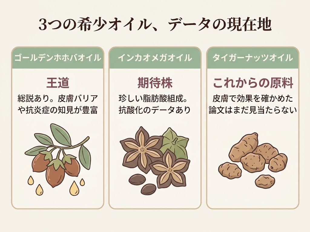 ホホバ・サチャインチ・タイガーナッツの3つの希少オイルを、データの充実度で「王道」「期待株」「これからの原料」の3段階に整理した比較カード