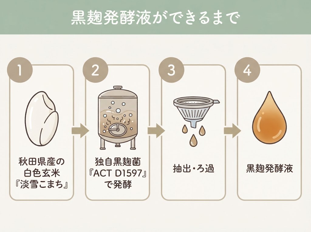 秋田県産の白色玄米「淡雪こまち」を独自黒麹菌ACT D1597で発酵させ、抽出・ろ過して黒麹発酵液になるまでの4ステップの図