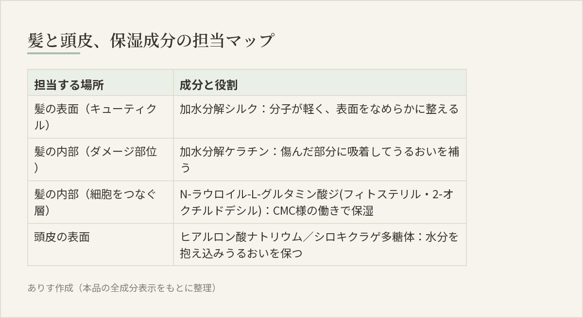 髪の表面・内部・頭皮の表面で保湿成分の担当が分かれている様子を示した図解