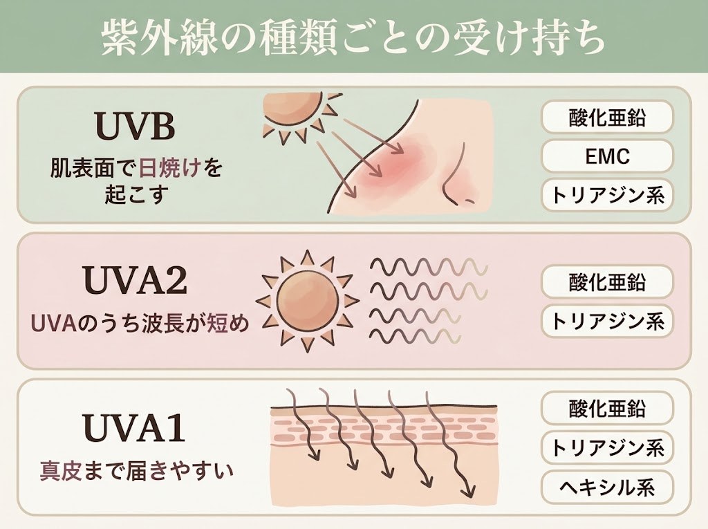 UVB・UVA2・UVA1の3段それぞれを、酸化亜鉛と吸収剤3種がどう受け持つかを示したレイヤー図