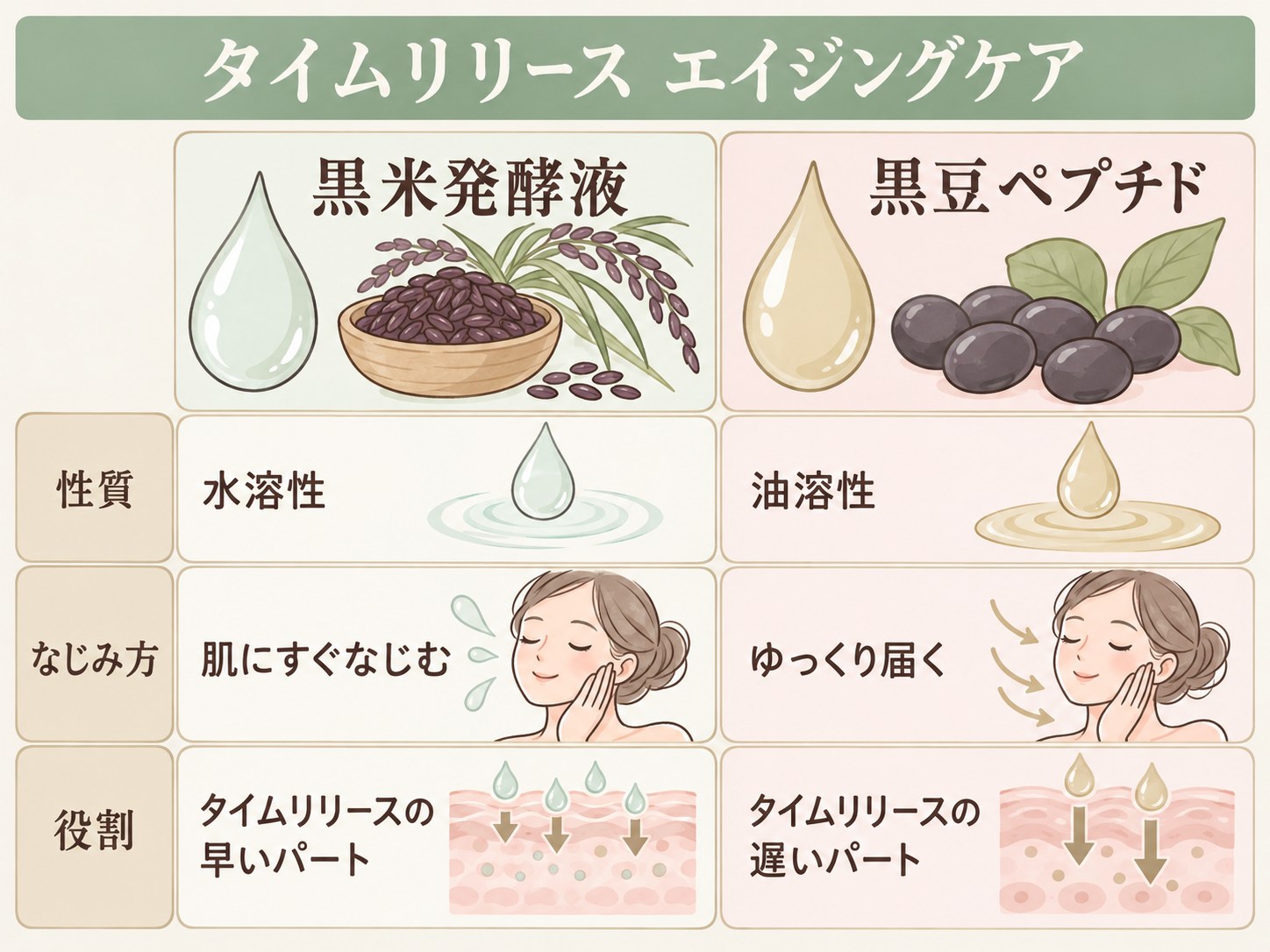 水溶性の黒米発酵液と油溶性の黒豆ペプチドによるタイムリリース設計の比較図