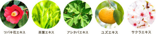 hugm ナチュラルシャンプーの植物成分