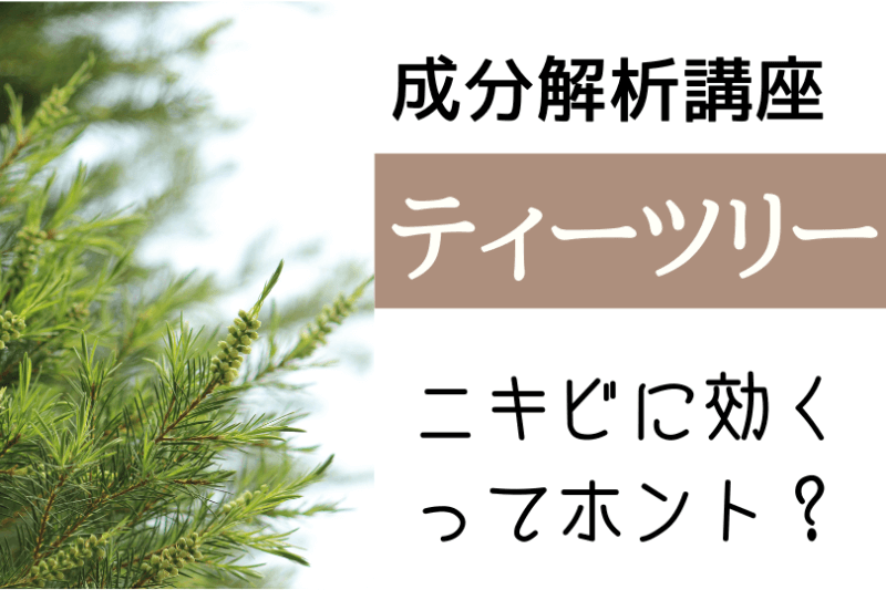 コスメ成分解析講座 ティーツリー ニキビに効くって本当 可愛くなりたい レビュー 感想ブログ